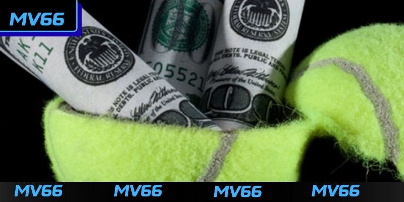 Tìm hiểu về cá cược Tennis hiện nay